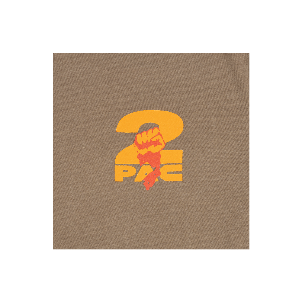 1993 T-Shirt Detail 2