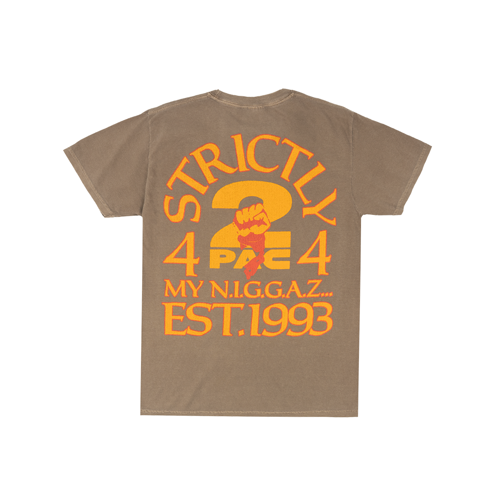 1993 T-Shirt Back 